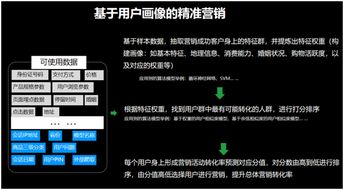 电子科技大学MBA项目 人工智能应用软件开发的融合创新之路